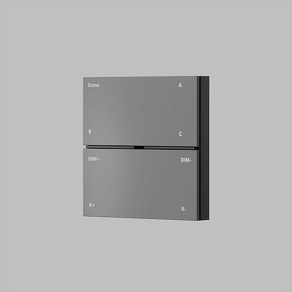 Накладная настенная панель управления CONTROL BT DK7201-DG