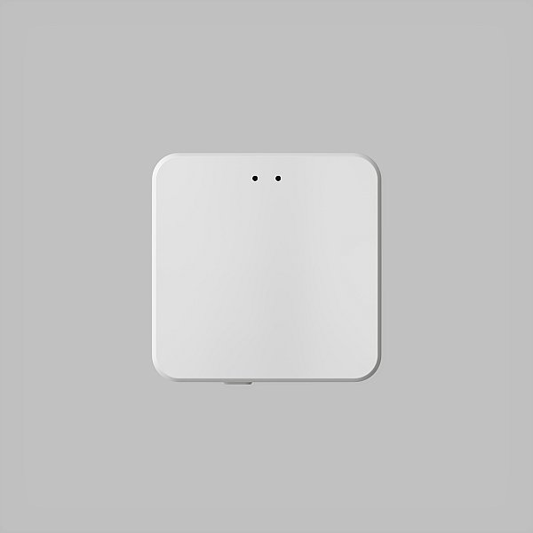 WI-FI Конвертер CONTROL BT DK7401-WF