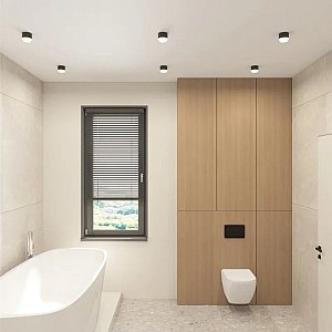 Накладной светильник AQUA Denkirs DK-DH2610-BK