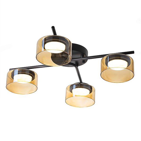 Потолочная люстра ESPACE Citilux CL243141