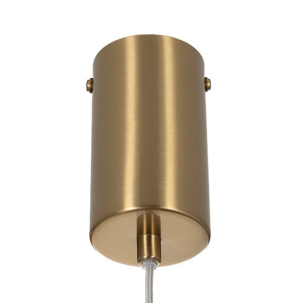 Подвесной светильник FERNET Citilux CL254010