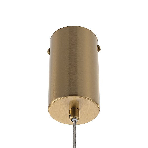Подвесной светильник FERNET Citilux CL254410
