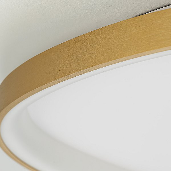 Потолочный светильник GENKA SMART Citilux CL756A162