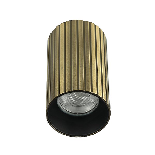 Накладной светильник AXEL Citilux CL512113R