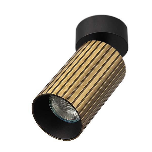 Спот AXEL Citilux CL512213R