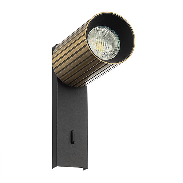 Настенный светильник AXEL Citilux CL512513R