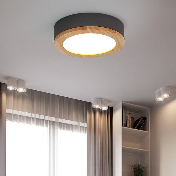 Потолочный светильник ImperiumLoft 310979-26
