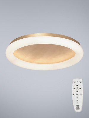 Потолочный светильник Vitaluce V2539DT-8/1PL