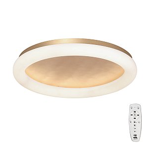 Потолочный светильник Vitaluce V2539DT-8/1PL