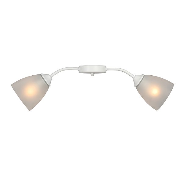 Потолочная люстра Vitaluce V3750/2PL