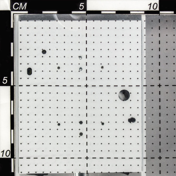 Настенное бра Citilux Декарт CL704410