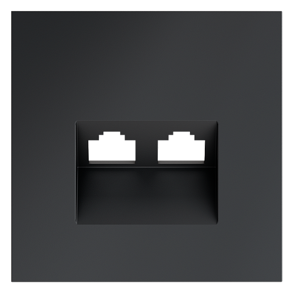 Накладка для розетки компьютерной двойной RJ45+RJ45 кат.6, S70 (графит)