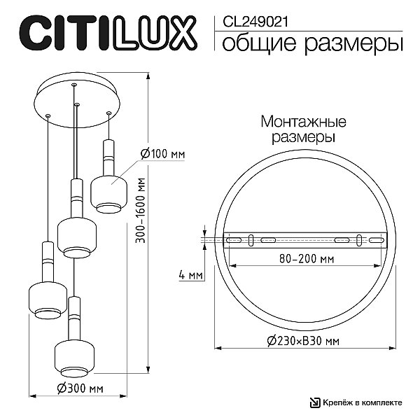 Подвесной светильник LASS Citilux CL249021