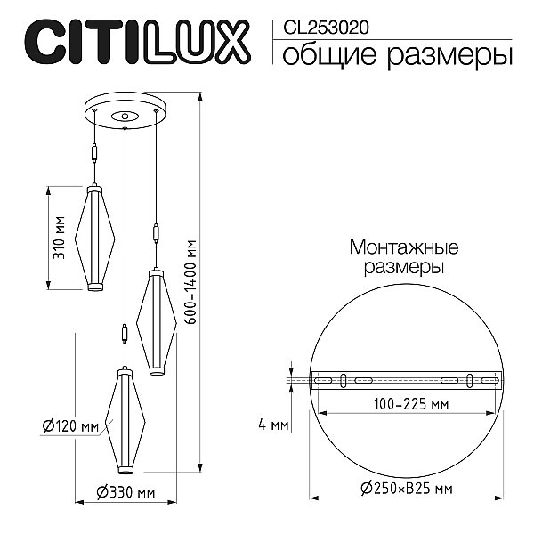 Подвесной светильник TANNA Citilux CL253020