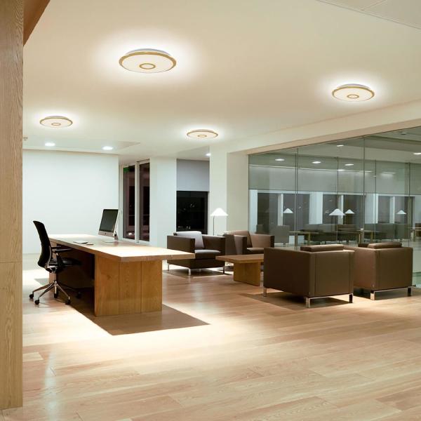 Светильник потолочный Citilux СтарЛайт CL70342R