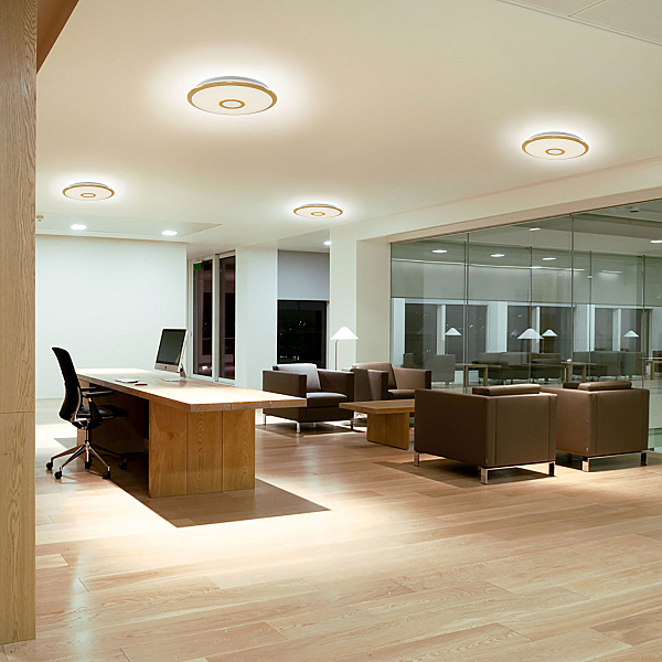 Светильник потолочный Citilux СтарЛайт CL70342R