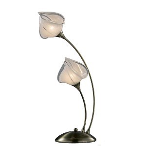 Настольная лампа Odeon Light  ANTRA 2049/2T