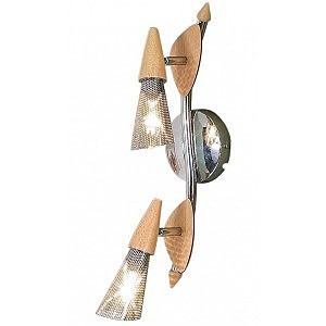 Светильник спот Citilux CL502521