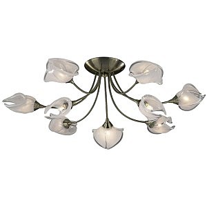 Потолочная люстра Antra 2049/9C