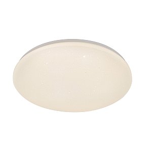Потолочный светильник Escada 10216/SG LED APP