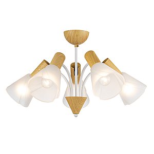 Потолочная люстра Vardo Escada 1131/5P