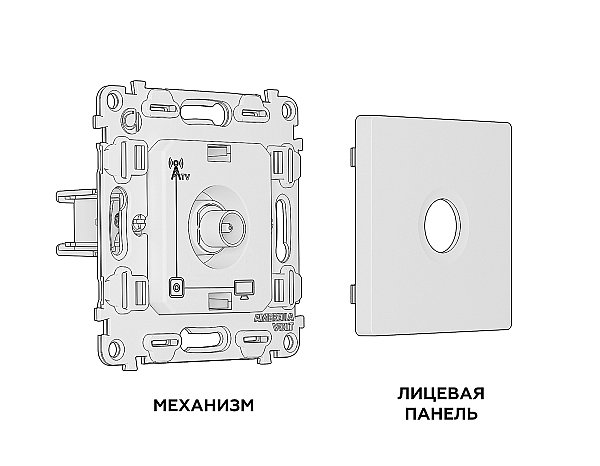 Розетка Ambrella Volt ALFA MA313010