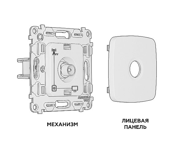 Розетка Ambrella Volt OMEGA MO643010