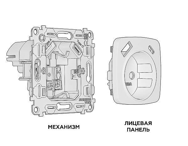 Розетка Ambrella Volt OMEGA MO110010