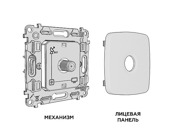 Розетка Ambrella Volt OMEGA MO613050