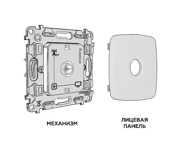 Розетка Ambrella Volt OMEGA MO643005
