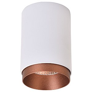 Накладной светильник STECKEN Wertmark WE801.01.007+WE803.RG.600