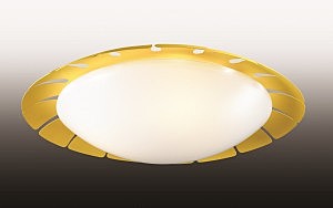 Потолочный светильник Odeon Light Zita 2753/3C