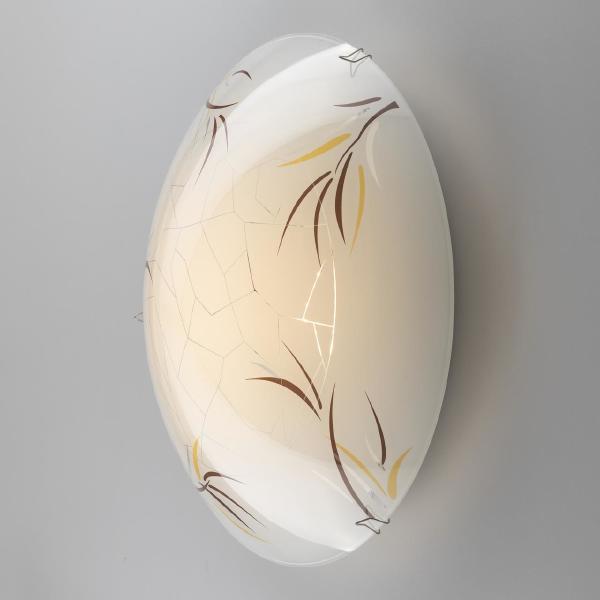 Настенно потолочный светильник Citilux Ива CL918009