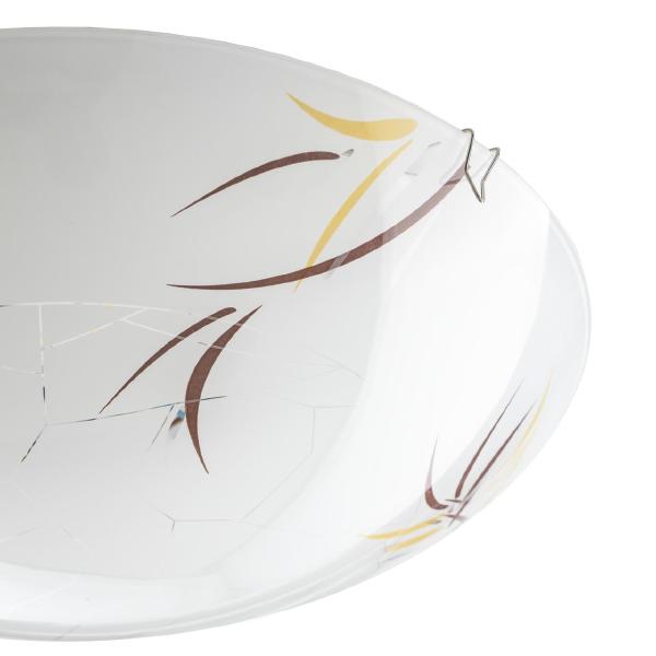 Настенно потолочный светильник Citilux Ива CL918009