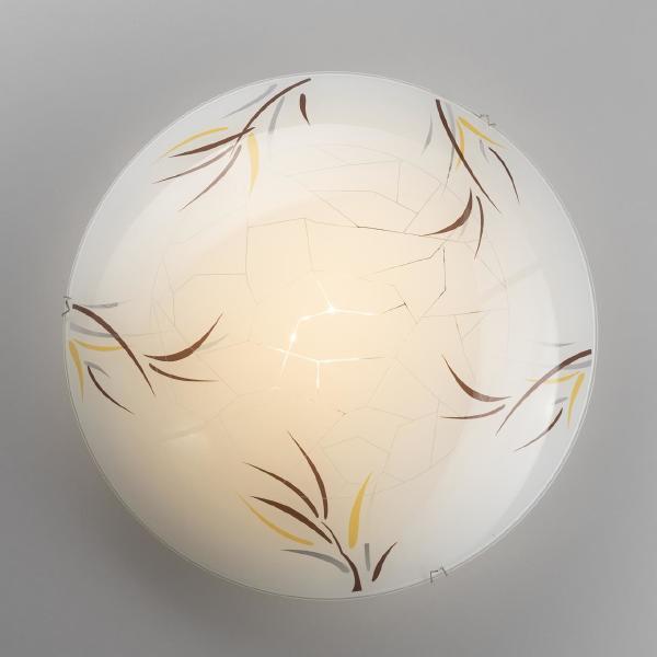 Настенно потолочный светильник Citilux Ива CL918009