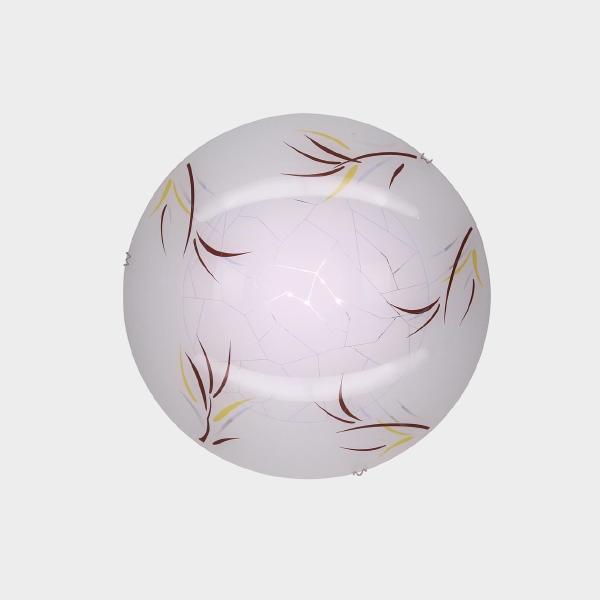 Настенно потолочный светильник Citilux Ива CL918009