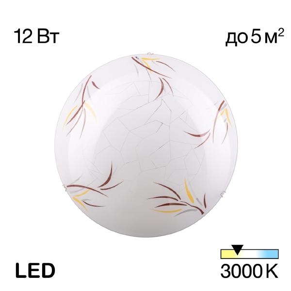 Настенно потолочный светильник Citilux Ива CL918009