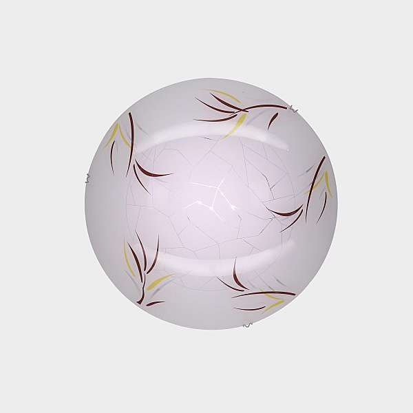 Настенно потолочный светильник Citilux Ива CL918009