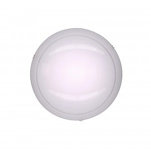 Настенно потолочный светильник Citilux Лайн CL918081