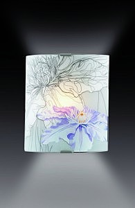 Настенно потолочный светильник Sonex 1230/A