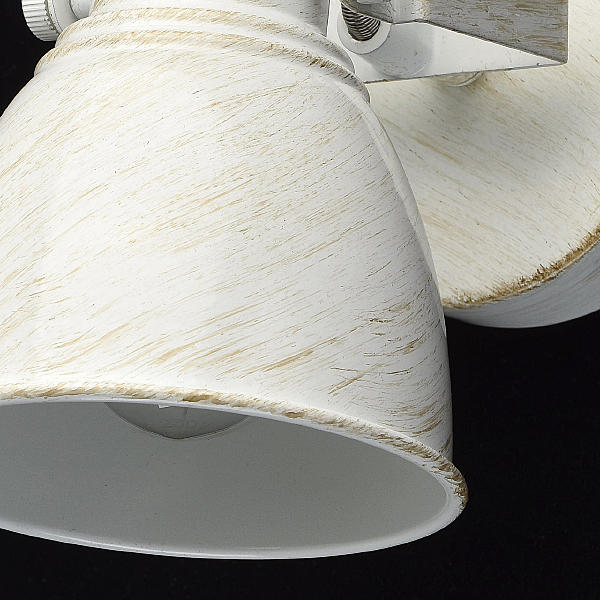 Светильник спот Ринген 547020901