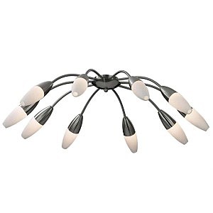 Потолочная люстра Chikko 2012/10C