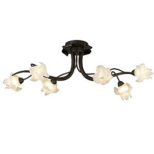 Потолочная люстра Iris 1372/6