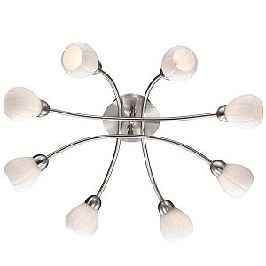 Потолочная люстра Akron 2469/8C