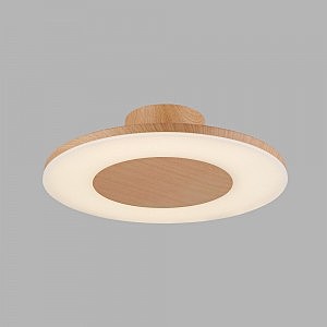 Потолочная люстра Discobolo 4494