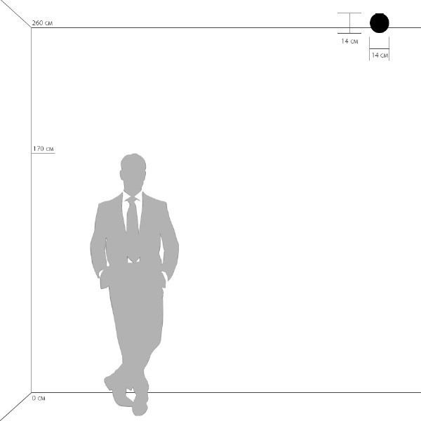 Светильник потолочный Globo 803010