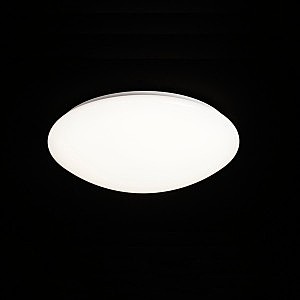 Светильник потолочный ZERO 3671