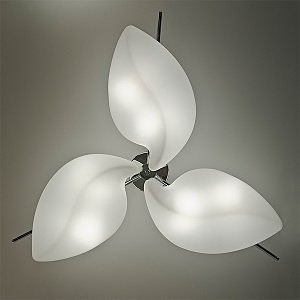 Потолочная люстра Natura 3586