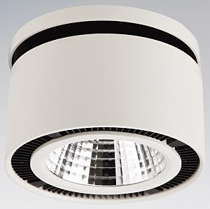 Накладной светильник Forte Inca 214800