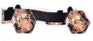 Светильник спот OML-214 OML-21401-02